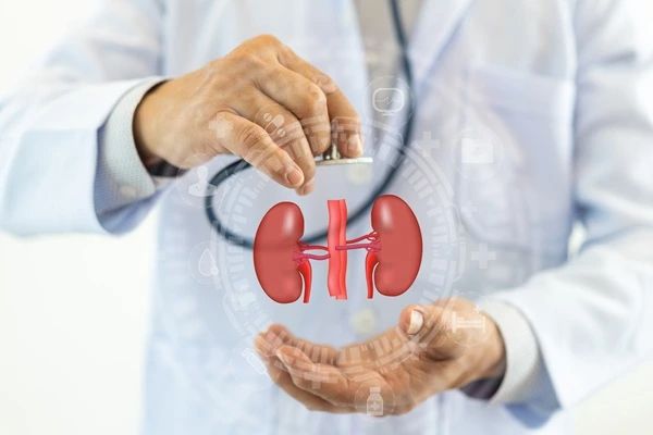Kidney Testing: What It Is And What To Expect